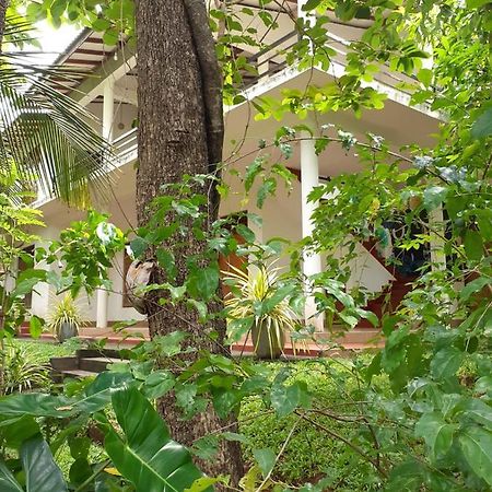 Yonara Green Rest Habarana Exterior foto