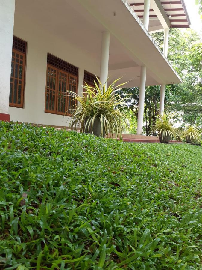 Yonara Green Rest Habarana Exterior foto