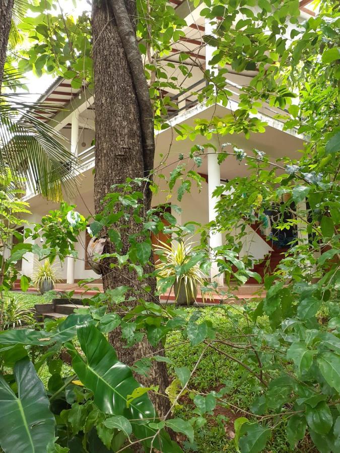 Yonara Green Rest Habarana Exterior foto