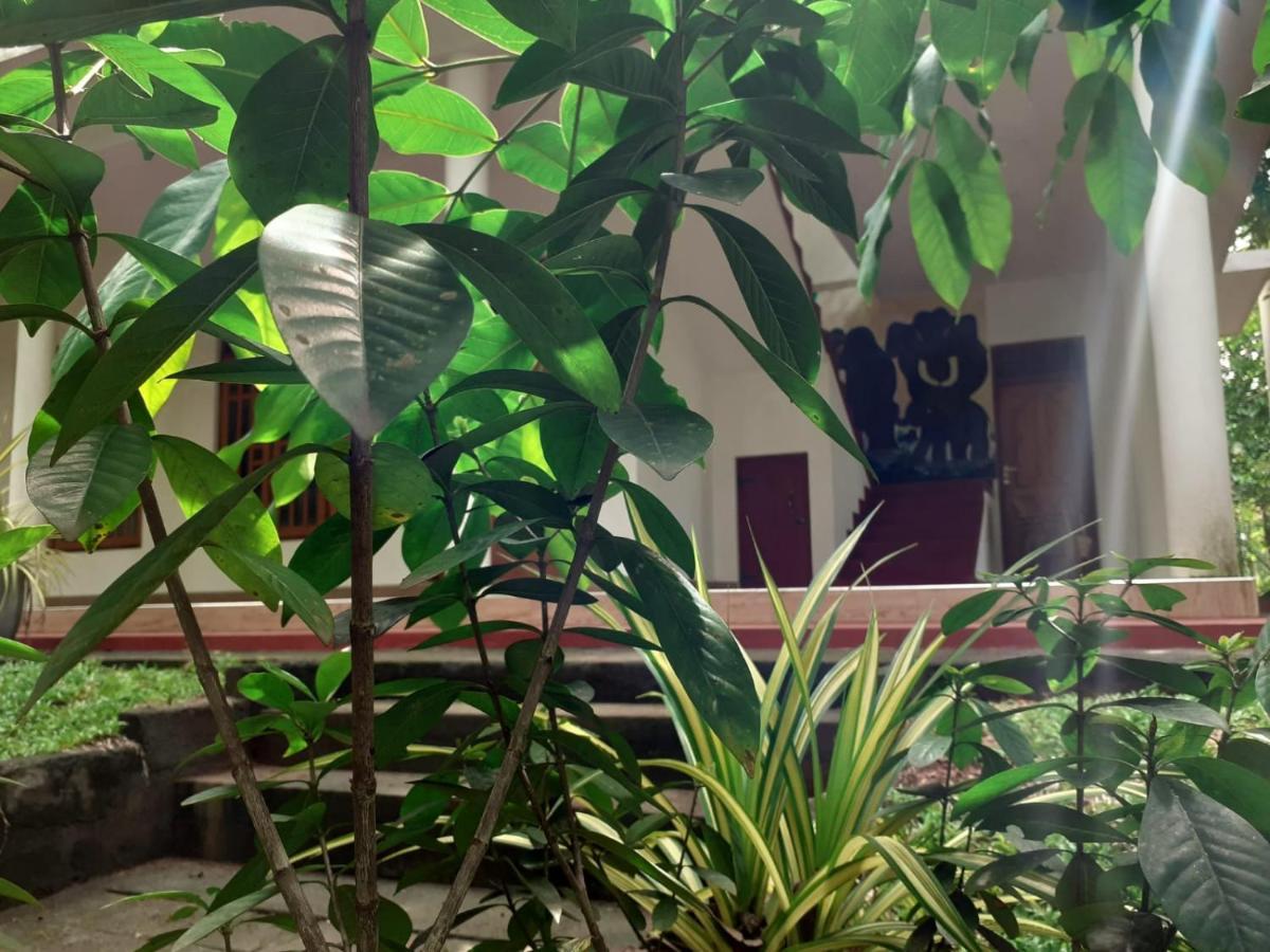 Yonara Green Rest Habarana Exterior foto