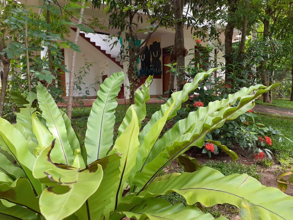 Yonara Green Rest Habarana Exterior foto