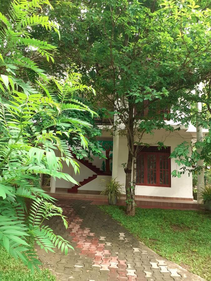 Yonara Green Rest Habarana Exterior foto
