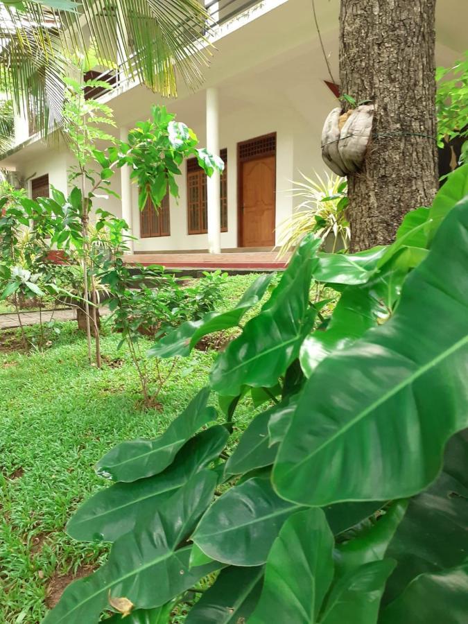 Yonara Green Rest Habarana Exterior foto